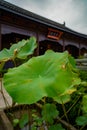 Architecture inside a Buddhist temple in Shanghai, China