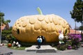 Architecture interior building tunnel pumpkin design for thai people travelers for walking pass gate to visit respect praying