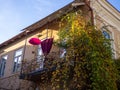 Architecture of the old area. Balconies of the old city. Cozy south facing balconies