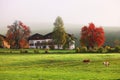 Architecture of Ortisei in Val Gardena in a beautiful autumn day. Royalty Free Stock Photo