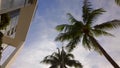 Architecture and palms on sky