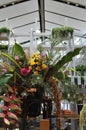 Architecture of a restaurant named Forest Bake,filled with trees and flowers, in Central World,Bangkok,Thailand Royalty Free Stock Photo