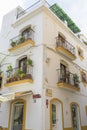 architecture and streets of white flowers in Marbella Andalucia