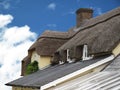 Architecture thatched roof