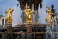 Architecture of VDNKh city park in Moscow. Fountain Friendship of peoples