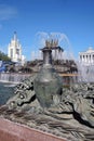 Architecture of VDNKH park in Moscow. Stone Flower fountain