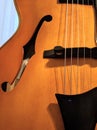 Archtop Jazz Guitar F Hole & Strings Detail