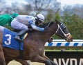 Archumybaby Wins by a Head at Aqueduct Royalty Free Stock Photo