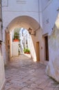Arco Fanelli. Mottola. Puglia. Italy. Royalty Free Stock Photo