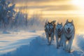 Arctic adventure Sled dogs led by mushers through serene snowy landscape Royalty Free Stock Photo