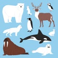 Arctic animals cartoon vector polar bear or penguin character collection with whale reindeer and seal in snowy winter
