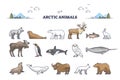 Arctic animals collection with cold north environment wildlife outline set Royalty Free Stock Photo