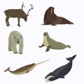 Arctic animals collection. Royalty Free Stock Photo