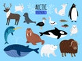 Arctic animals. Cute animal set of Arctic or Alaska vector illustration for education, penguin and polar bear Royalty Free Stock Photo