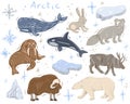 arctic animals nature wild world cold north cute cartoon ice snowflake polar bear muskox sperm whale scribe hand drawn Royalty Free Stock Photo