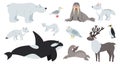 Arctic animals. Polar animal, cartoon cute bear walrus penguin. Flat fun antarctic seal, north pole wildlife. Reindeer