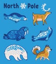 Arctic animals set in cartoon style