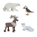 Arctic animals set. Polar bear, arctic puffin bird, reindeer and polar ermine. Cartoon flat design. Vector illustrations Royalty Free Stock Photo