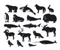 Arctic animals Silhouette collection