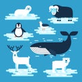 Arctic and Antarctic animals set, vector flat design illustration. Polar animals for infographic. White bear, penguin Royalty Free Stock Photo