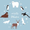 Arctic and antarctic animals vector set. Winter, nature and travel illustration. Penguin, polar bear, seal and reindeer