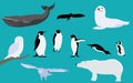 Arctic and Antarctica Animals