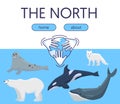 Arctic and Antarctica wild nature protection vector illustration for web sites and landing page. Pole bear, white fox Royalty Free Stock Photo