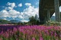 Arctic Cathedral and bridge in Tromso, Norway Royalty Free Stock Photo