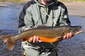 Arctic char trophy fishing. Royalty Free Stock Photo