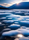 Arctic focus detailed high quality sharply defined. Royalty Free Stock Photo