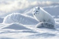 Arctic fox blending in snowy landscape photorealistic cinematic shot with bright colors
