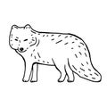 Arctic fox hand drawn black and white vector illustration Royalty Free Stock Photo