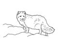 Arctic fox. Vector illustration. Royalty Free Stock Photo