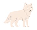 Arctic fox on a white background, flat style vector illustration. Animals of the North Pole. Royalty Free Stock Photo
