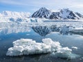 Arctic glacier landscape - Spitsbergen Royalty Free Stock Photo