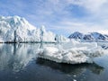 Arctic glacier landscape - Spitsbergen Royalty Free Stock Photo