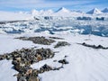 Arctic glacier landscape - Spitsbergen Royalty Free Stock Photo