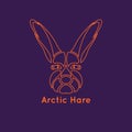 Arctic hare logo vector