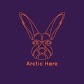 Arctic hare logo vector Royalty Free Stock Photo