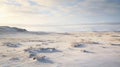 Arctic Hare Region: A Cold Winter Scene With Snow Covered Earth And Mountains