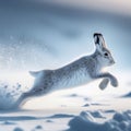 Arctic Hare sprints across snowy tundra