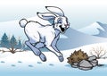 Arctic hare in the winter