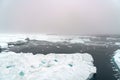 Arctic Icebergs Greenland in the arctic sea Royalty Free Stock Photo