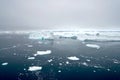 Arctic Icebergs Greenland in the arctic sea