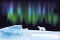 Arctic landscape with the northern lights