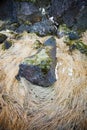 A rock in the middle of combed grass.