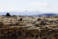 Landscapes with grass on the island of Iceland.