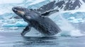 Arctic Majesty: Majestic Whale Breaching Through Icy Waters