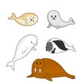 Arctic marine mammals set seals and walrus. Vector cartoon color image. Royalty Free Stock Photo