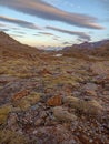 Wild nature of Mageroya Island, Norway Royalty Free Stock Photo